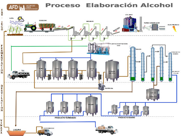 proceso productivo